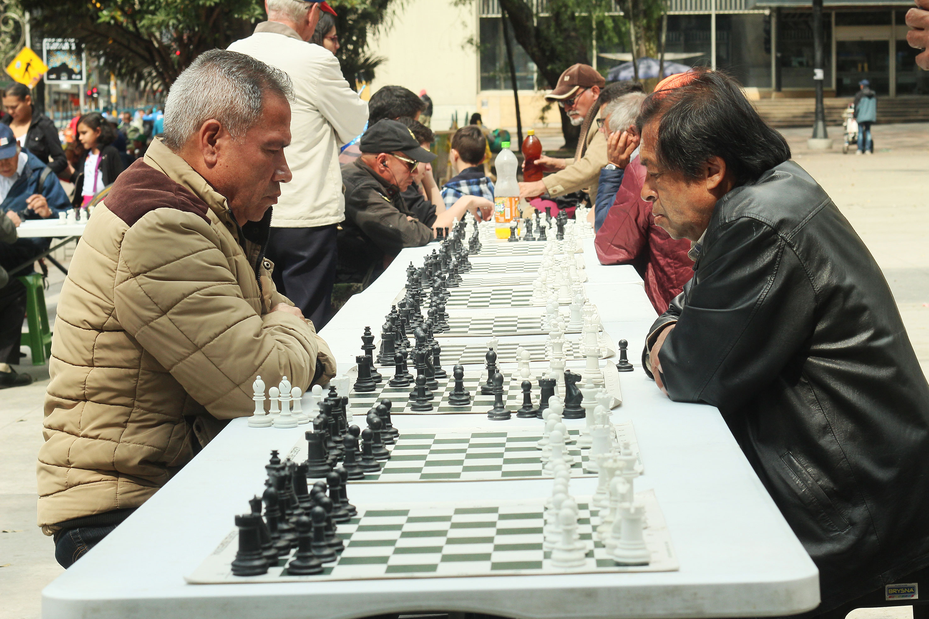 ajedrecistas bogotá